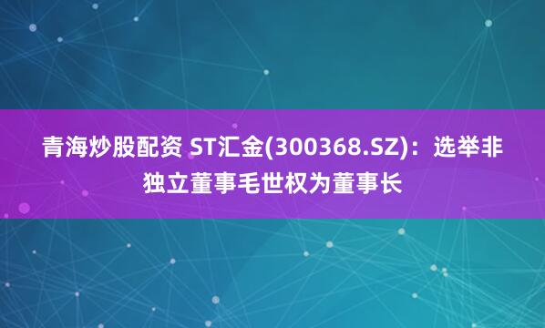 青海炒股配资 ST汇金(300368.SZ)：选举非独立董事毛世权为董事长