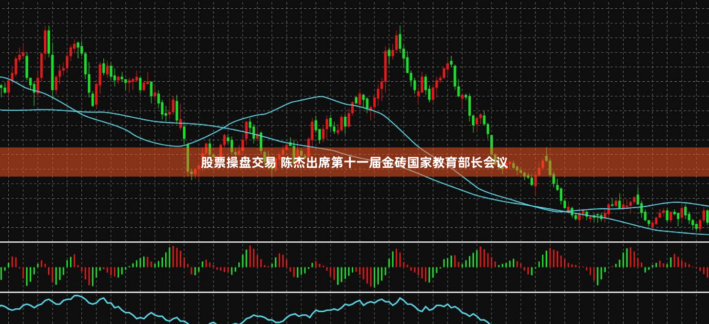 股票操盘交易 陈杰出席第十一届金砖国家教育部长会议