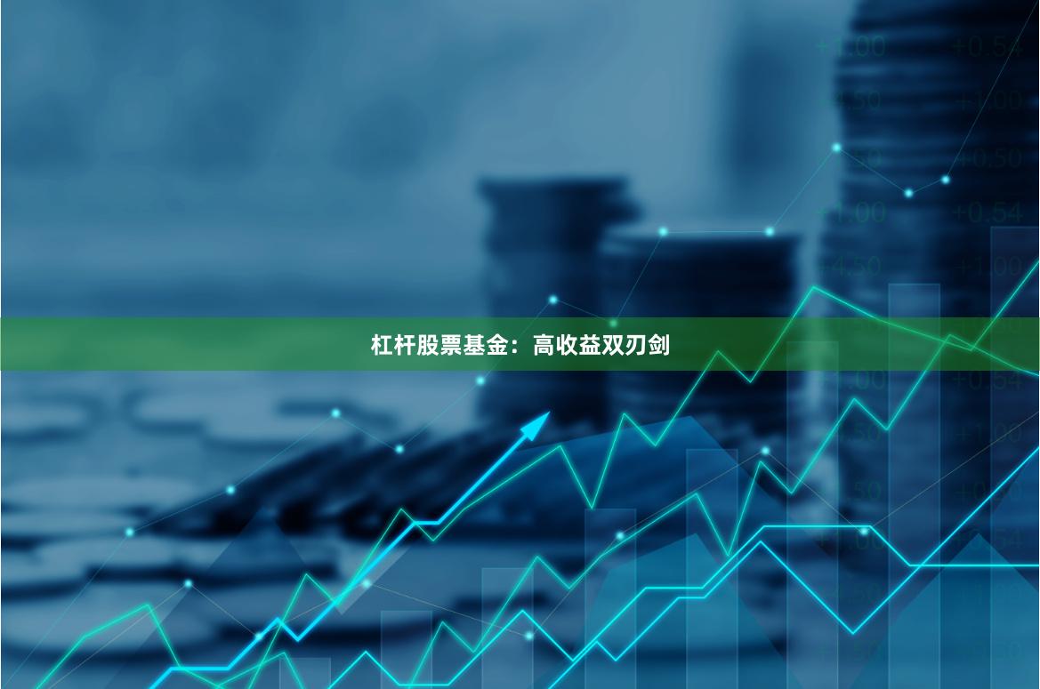 杠杆股票基金：高收益双刃剑